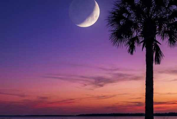 Pathly-SCRA Startup Grant- South Carolina Innovation