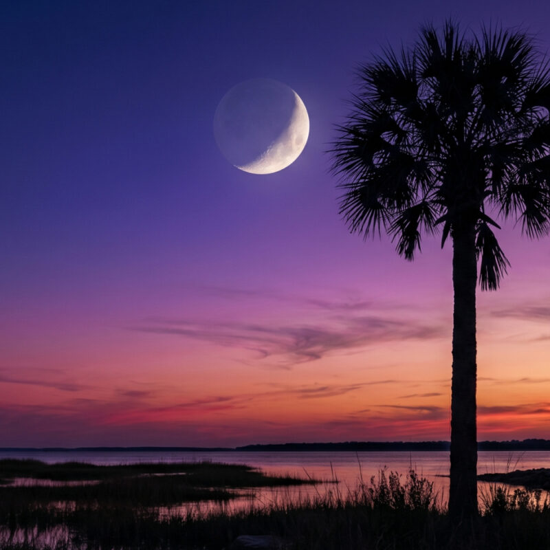 Pathly-SCRA Startup Grant- South Carolina Innovation